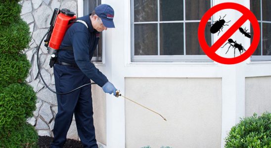 Evka 7 Kene İlaçlama böcek ilaçlama ve haşere kontrolü — ilaclama-tr.com